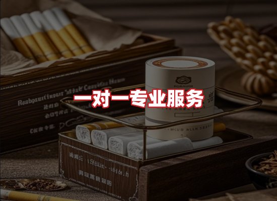 专业团队